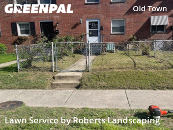 Grass Cut nearby Alexandria, VA, 