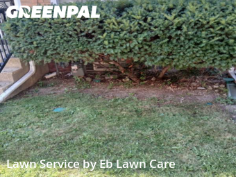 Lawn Care Service nearby Bellwood, IL, 