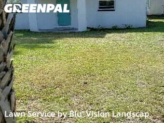 Grass Cut nearby Tampa, FL, 