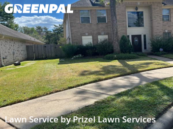 Lawn Cutin Pearland,77584,Lawn Cutting by Prizel Lawn Services, work completed in Nov , 2025