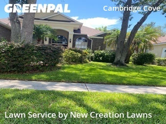 Lawn Care nearby Valrico, FL, 
