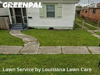Grass Cut nearby New Orleans, LA, 