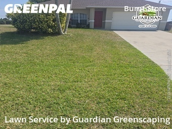 Lawn Cut nearby Cape Coral, FL, 