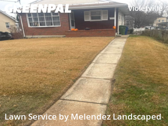 Lawn Cut nearby Baltimore, MD, 