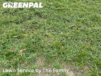 Lawn Mow nearby Orlando, FL, 