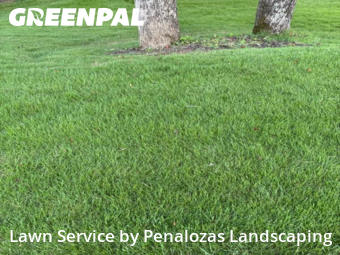 Lawn Cut nearby Cumming, GA, 