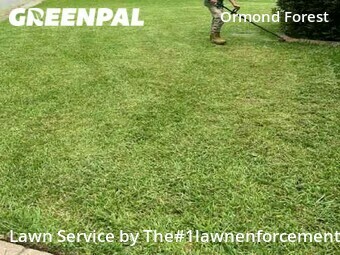 Lawn Service nearby Ormond Beach, FL, 