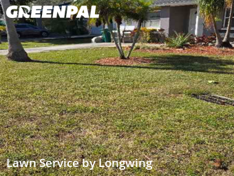 Yard Mowing nearby Clearwater, FL, 