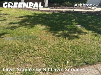 Lawn Maintenance nearby Charlotte, NC, 