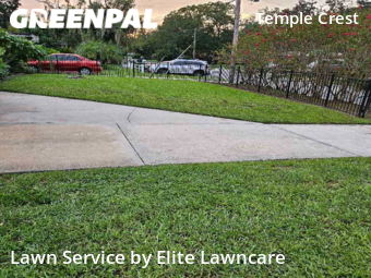 Lawn Maintenance nearby Tampa, FL, 