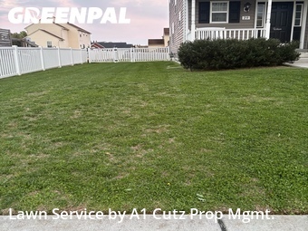Grass Cutting nearby Smyrna, DE, 