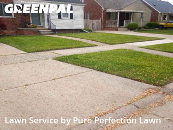 Lawn Management in Lincoln Park, 48146, Lawn Care by Pure Perfection Lawn, work completed in Dec , 2025