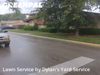 Turf Services in Melrose Park, 60160, Backyard Mowing by Dylan's Yard Service , work completed in Nov , 2025
