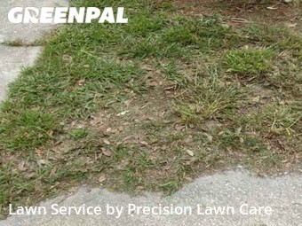 Lawn Mow nearby Tampa, FL, 