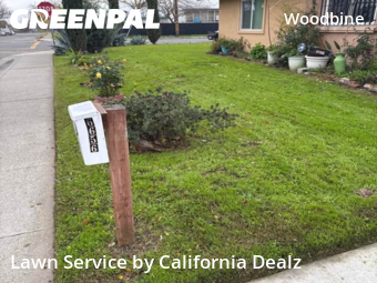 Lawn Mow nearby Sacramento, CA, 