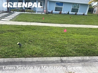 Lawn Maintenance nearby Royal Palm Beach, FL, 