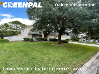 Lawn Mow nearby Orange Park, FL, 
