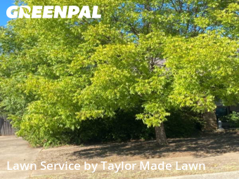 Lawn Cuttingin Euless,76039,Lawn Mowing by Taylor Made Lawn , work completed in Nov , 2025