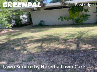 Lawn Cut nearby Citrus Heights, CA, 