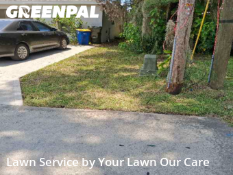 Yard Cutting nearby Bartow, FL, 