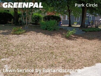 Landscaping Cleanup In North Charleston,29405,Landscaping Services by Bdrlandscaping, work completed in Jul , 2026