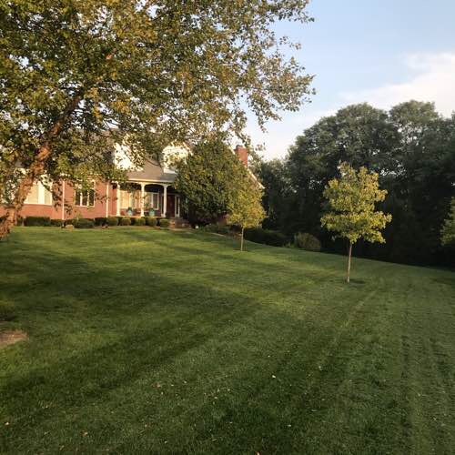 Yard mowing company in Westfield, IN, 46074