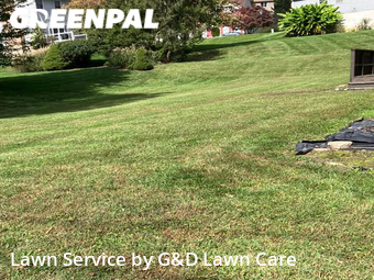 Lawn Maintenance nearby Newark, DE, 