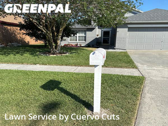 Lawn Mowing nearby Brandon, FL, 