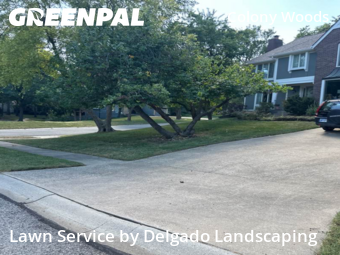 Weed Trimming in Lenexa, 66215, Lawn Services by Delgado Landscaping, work completed in Nov , 2025