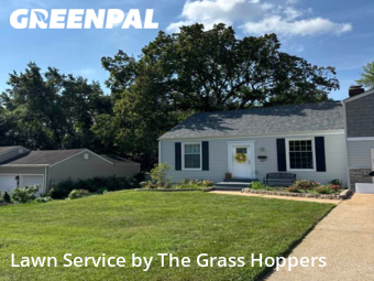 Yard Cutting nearby Webster Groves, MO, 