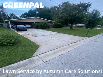 Lawn Cutting nearby Tampa, FL, 
