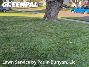 Grass Cut nearby Papillion, NE, 