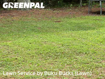 Lawn Mowing Service nearby Henderson, NC, 