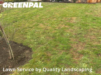 Grass Cut nearby Lynnwood, WA, 