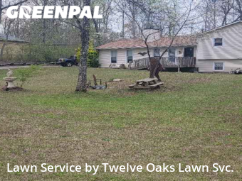 Lawn Upkeep in Newnan, 30263, Turf Services by Twelve Oaks Lawn Svc., work completed in Nov , 2025