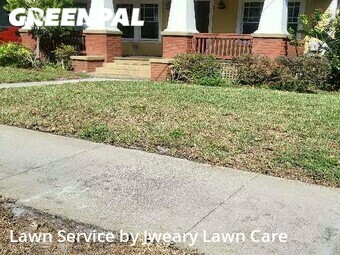 Lawn Mow nearby Lakeland, FL, 