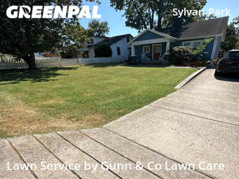 Lawn Cut nearby Nashville, GA, 