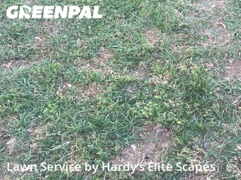 Lawn Care Service nearby Hendersonville, TN, 