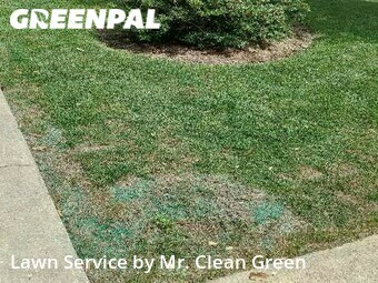 Grass Cut nearby Carney, MD, 