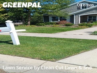Yard Maintenance in Meridian Charter Township, 48864, Yard Services by Clean Cut Lawn & Sno, work completed in Nov , 2025