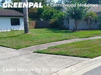 Lawn Care Service nearby Tampa, FL, 