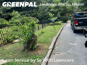 Grass Cut nearby Atlanta, GA, 