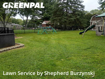 Yard Mowing nearby Downers Grove, IL, 