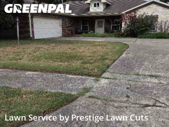 Lawn Cut nearby Spring, TX, 