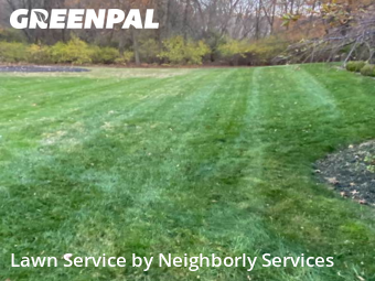 Turf Services in Twinsburg, 44087, Property Maintenance by Neighborly Services , work completed in Nov , 2025