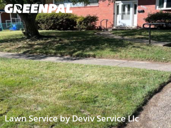Grass Services in Silver Spring, 20903, Weed Trimming by Deviv Service Llc, work completed in Nov , 2025