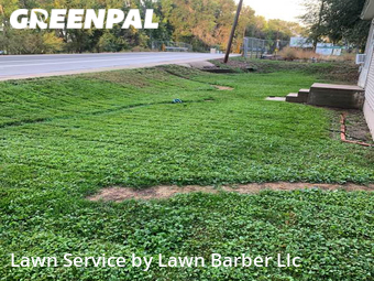 Lawn Cut nearby Greeley, CO, 