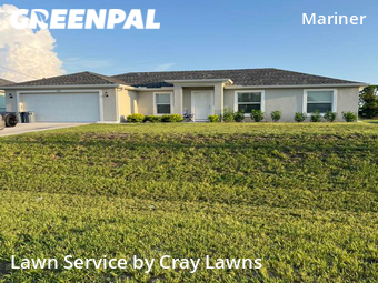 Lawn Cut nearby Cape Coral, FL, 