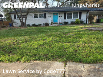 Grass Cutting nearby Raleigh, NC, 