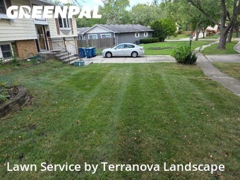 Yard Care in Downers Grove, 60516, Yard Upkeep by Terranova Landscape, work completed in Nov , 2025